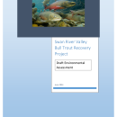 Draft Environmental Assessment for the Swan River Valley Bull Trout Recovery Project Available for Public Comment