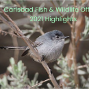 2020 Carlsbad Fish & Wildlife Office Annual Report