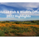 2022 Carlsbad Fish & Wildlife Office Annual Report