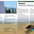 Anahuac Wildlife Refuge Brochure