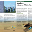 Anahuac Wildlife Refuge Brochure