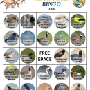 Bird Bingo - Species (Fall)