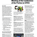 CITES CoP20 Preparations