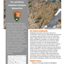 Buffelgrass Removal, Fire, & Climate Adaptation Handout