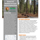 Forest Thinning to Restore Fire Resilience Handout