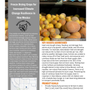 Freeze Drying Crops Handout