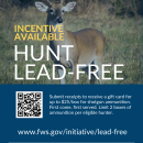 Lead-free Ammunition Pilot Program Flyer for Pocosin Lakes NWR