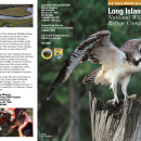 Long Island National Wildlife Refuge Complex brochure