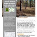 Thinning, Prescribed Fire, and Managing Wildfire Handout