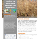 Novel Approaches to Fuel Breaks & Invasives Handout