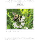 ESA Section 7(a)(2) Voluntary Implementation Guidance (2024) for Rusty Patched Bumble Bee