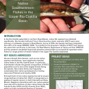 Native Fish Recovery in the Rio Costilla Basin Handout