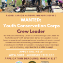 508 Compliant Rachel Carson NWR YCC CREW LEADER Flyer.pdf