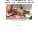 Apache Trout Species Status Assessment_2022.pdf