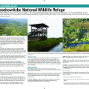 Chassahowitzka NWR Tear Sheet