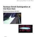 Sockeye Smolt Outmigration at Cle Elum Dam: Results of Field Studies 2013-2014