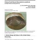 Ecological Risk Screening Summary - Chinese Pond Mussel (Sinanodonta woodiana) - High Risk