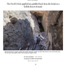 LA Times Story: Devil's Hole pupfish