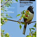 Occoquan Bay NWR Brochure