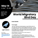 Hackmatack World Migratory Bird Day Flyer 22