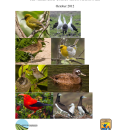 Hawaiian Bird Conservation Action Plan