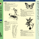 Hutchinson Trail Map.pdf