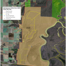 Jacks Bay Aerial Map