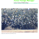 Junior Ranger Booklet for Reelfoot NWR