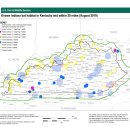 Map of the Indiana bat in Kentucky