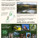 Umbagog Forest Management Brochure.pdf