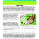 Monarch Butterfly Field Guide