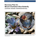 Mount Charleston blue butterfly Recovery Plan