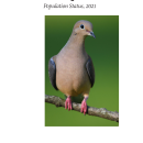 Mourning Dove Population Status, 2021