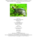 Biological Opinion on the Effects of New Jersey Road Network Operation, Maintenance, Improvement, and Expansion on the Bog Turtle