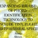 Protecting Endangered Species Winner Expanding the Use of Photo-Identification Technology by Jenny Shrum