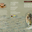 Fact Sheet: Protecting Burrowing Owls at Construction Sites