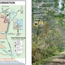 Trail Guide - Great Dismal Swamp- 2019 USFWS.pdf