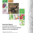Executive Report: A LANDSCAPE CONNECTIVITY ANALYSIS FOR THE COASTAL MARTEN (Martes caurina humboldtensis)