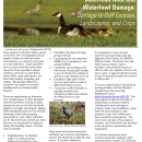 Fact Sheet: Waterfowl Damage