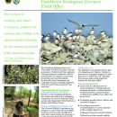 Caribbean Ecological Services Field Office - Project Evaluations