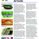 Peces de Agua Dulce del Caribe