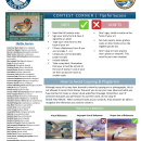 Jr. Duck Stamp General Information 2