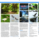 Cedar Keys NWR Tear Sheet - Back