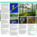 Lower Suwannee NWR Tear Sheet - Back