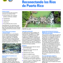 Reconectando los Ríos de Puerto Rico