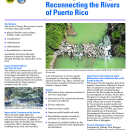 Reconnecting the Rivers of Puerto Rico