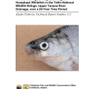 Trends in Length, Weight, and Age of Humpback Whitefish in the Tetlin National Wildlife Refuge, Upper Tanana River Drainage, over a 20-Year Time Period.pdf