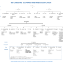 National Wetland Inventory Wetlands and Deepwater Map Code Diagram