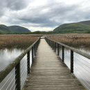 a boardwalk leads into a vast marsh with rolling mountains in the distance