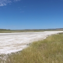 An area of white alkali soil between two grassy areas under blue skies is shown.